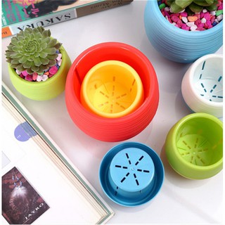 Grosir 294 Pot Bunga  Mini Bahan Plastik  Warna Warni 