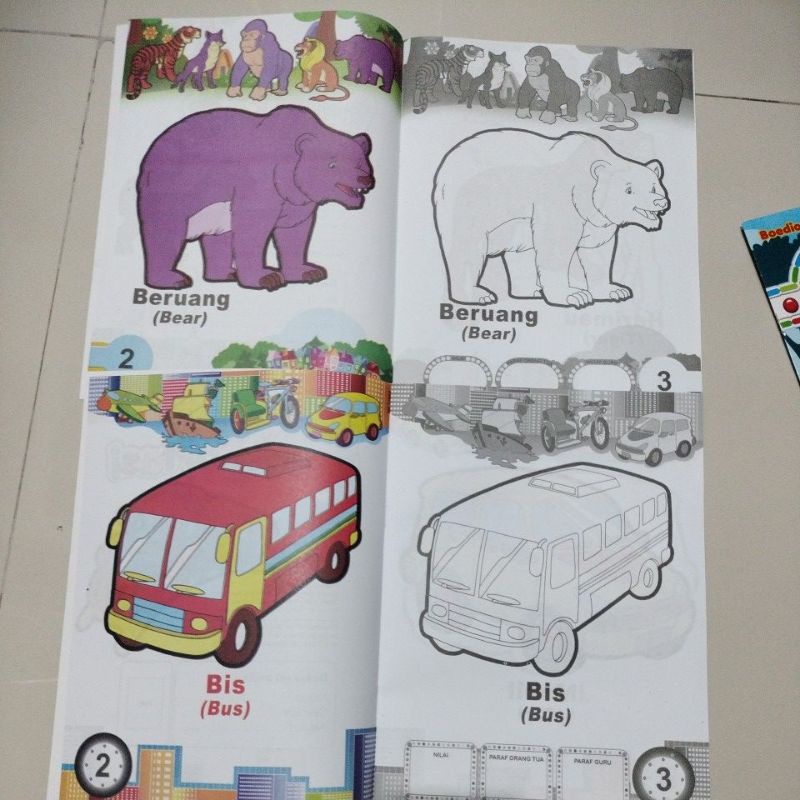 buku mewarnai lebar boediono 24 halaman full colour 20x29cm