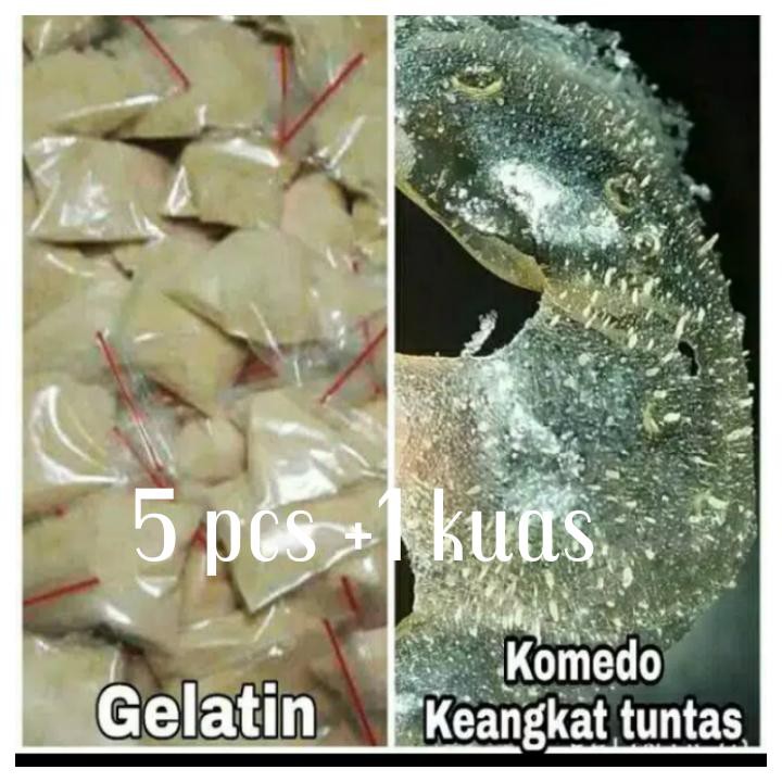 Masker Gelatin Komedo Isi 10 Pcs