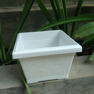 POT TANAMAN BUNGA PERSEGI 20 PUTIH Shopee Indonesia POT TANAMAN BUNGA PERSEGI 20 PUTIH Shopee Indonesia