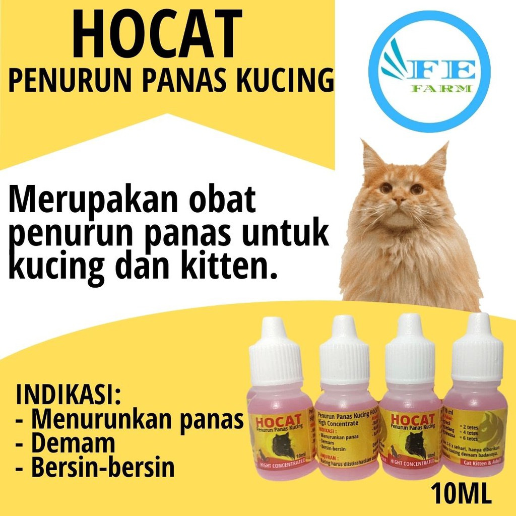 Obat Demam Panas Kucing Cat Kitten Hocat 10ml FEFARM