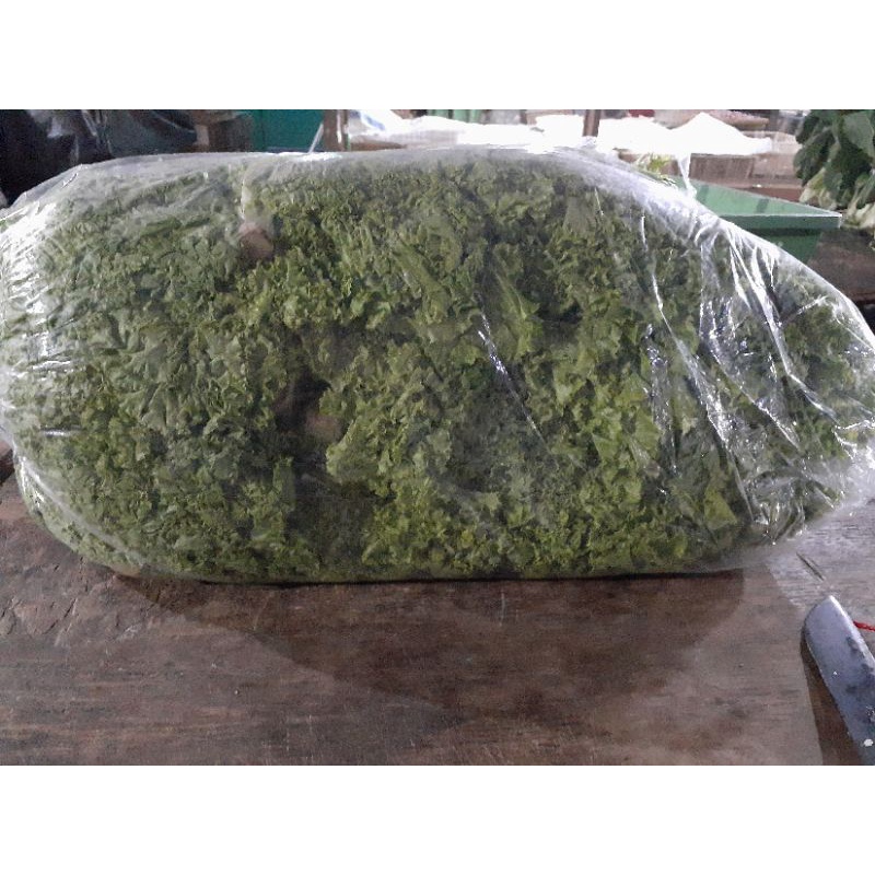 

daun slada selada