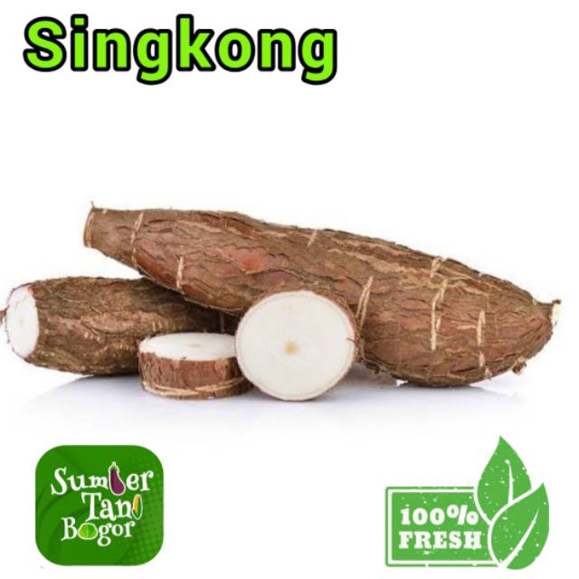 

SINGKONG - Per 1 Kg