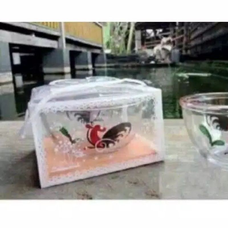 Souvenir Pernikahan Mangkok Bening Jago