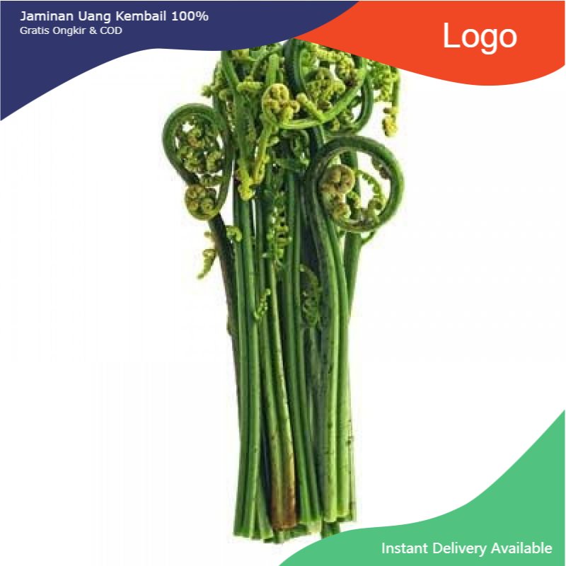 

Promo Pakis sayur fresh per 100gram