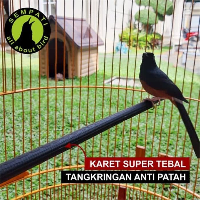 Free Ongkir TANGKRINGAN SETAN KARET HITAM SANGKAR BURUNG MURAI ANTI PATAH TKARM Special