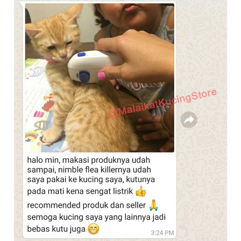 Nimble Flea Killer Malaikat Kucing Store