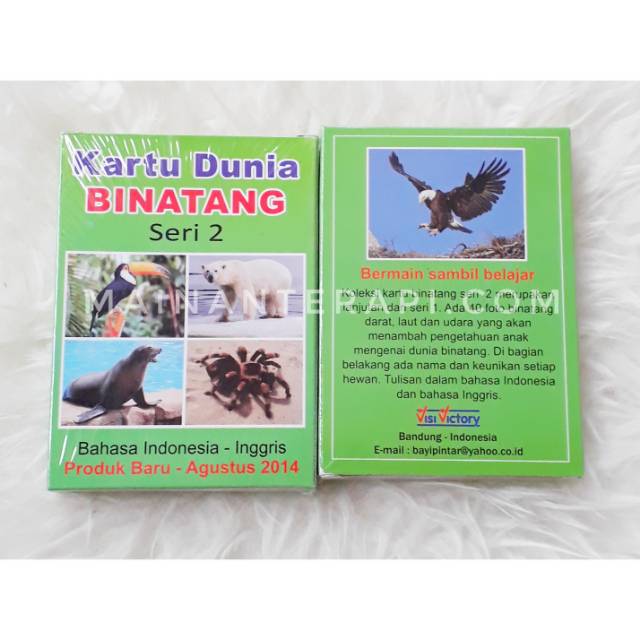Kartu Edukasi Pintar Dunia Binatang Seri 2 Flashcards Shopee