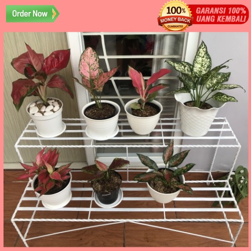 Rak Pot Bunga Besi 2 Susun / Rak Bunga Susun Besi 2 Tingkat / Rak Bunga Besi Minimalis / Rak 2 tingkat Panjang 1 Meter / Rak Bunga 2 Tingkat Sate / Standing Pot Bunga Besi Tinggi 4 Cm / Rak Besi 2 Susun Tanaman Hias Pot / Rak Bunga Besi Minimalis