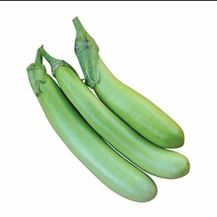 

TERONG HIJAU PANJANG - 1kg