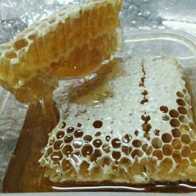 

Madu asli sarang lebah