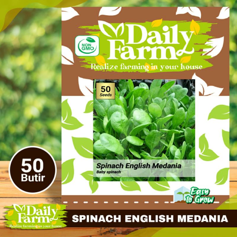 Premium Benih Sayur Bayam Hijau - Spinach English Medania - Baby Spinach