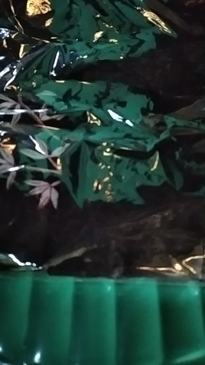 Maura Couple - Sania Ruffle Batik Couple Ori Ndoro Jowi Dnt Garansi Termurah Shopee Merak - Bs065