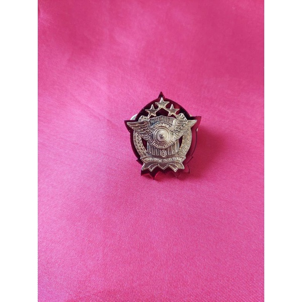 pin brivet dikjur lantas