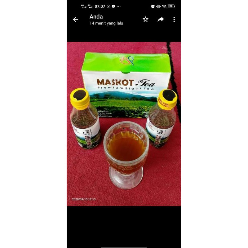 

Maskot TEA