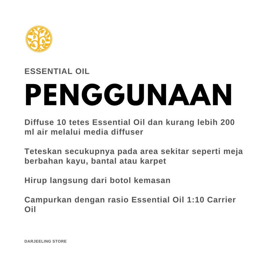 Rose Geranium Essential Oil Minyak Atsiri Rose Geranium