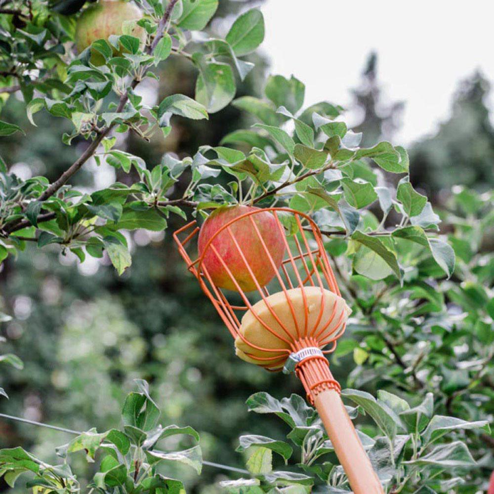 NICKOLAS1 Fruit Picker Deep Basket Nyaman Ambil Penangkap Buah