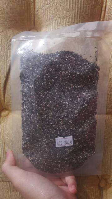 Chia Seed Organic 100gr