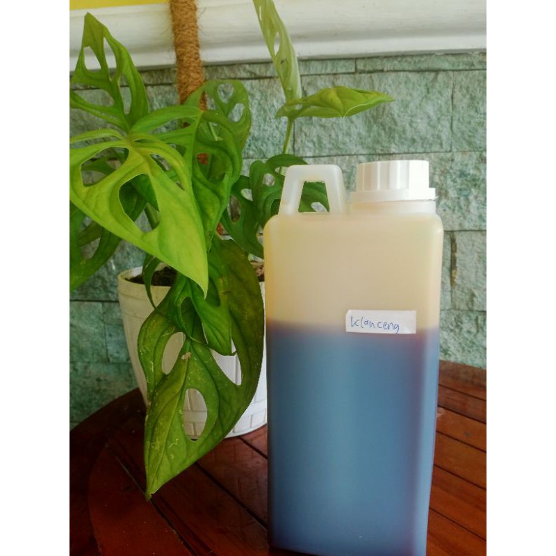 

Madu klanceng Manis 1kg