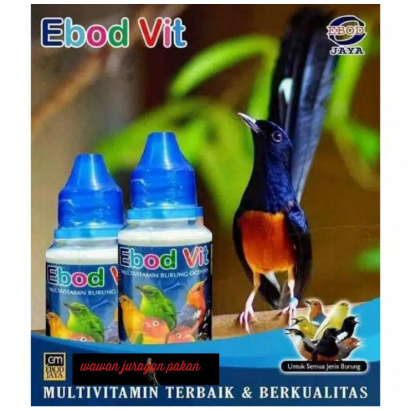 Ebod vit, vitamin burung, obat gacor