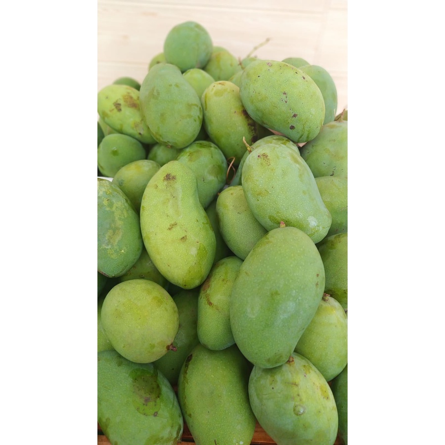 

Mangga Harum Manis 1kg