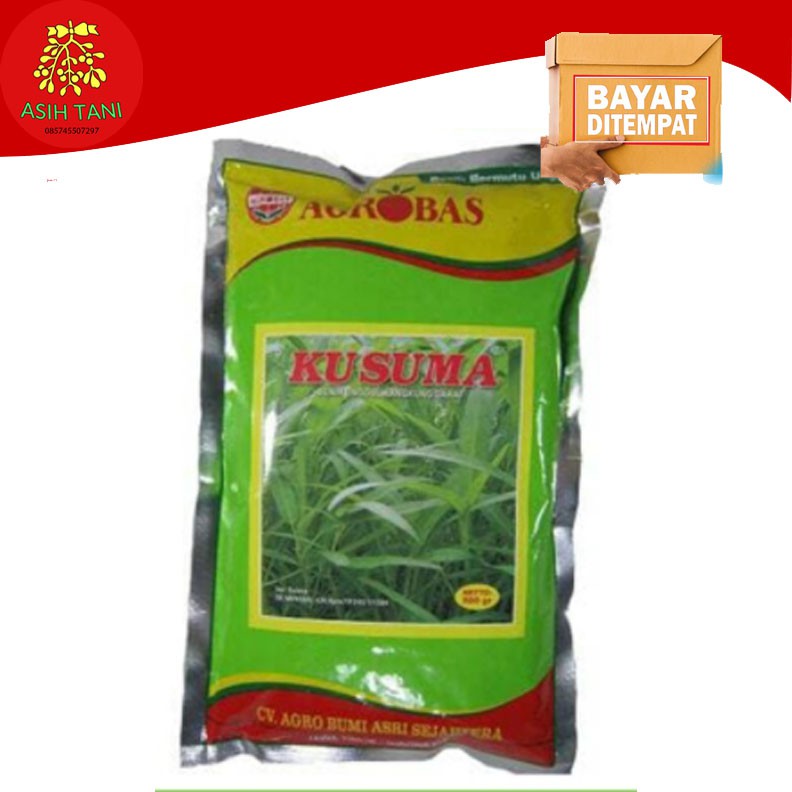 Benih Kangkung Kusuma Agrobas 500g