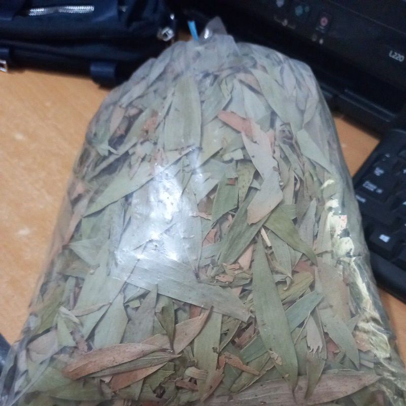 

1kg Daun Kayu Putih Kering