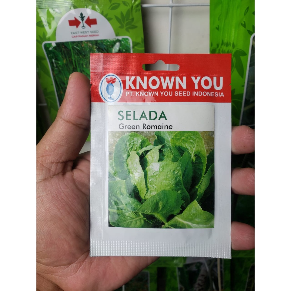 Jual Benih Bibit Selada Green Romaine Cap Known You Seed Kys Isi 5 Gram