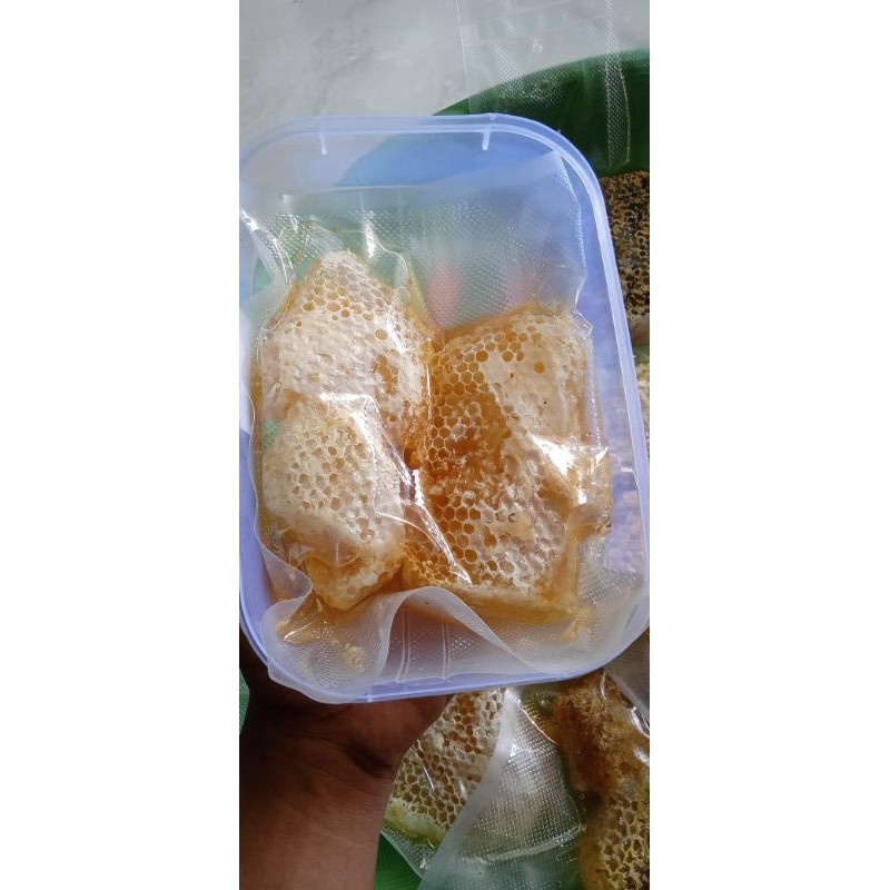 

madu tawon