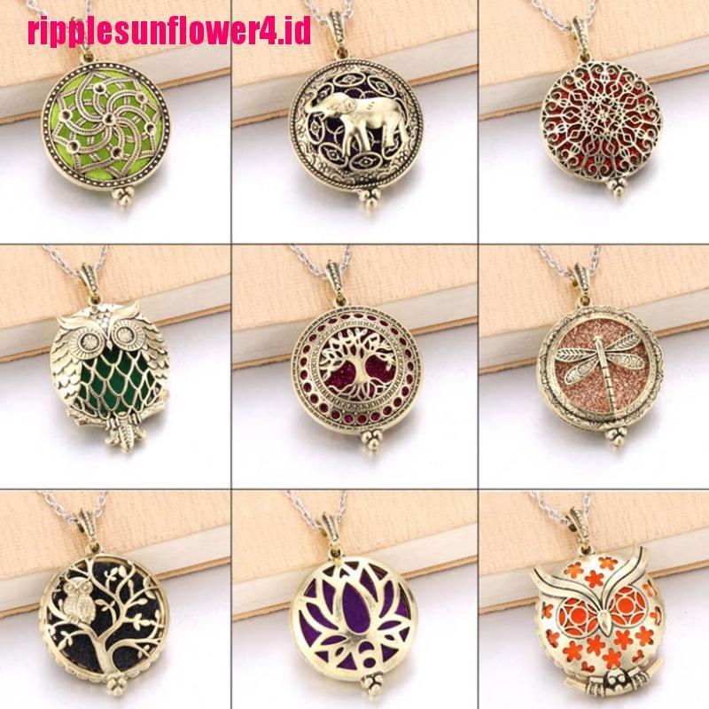 1pc Kalung Rantai Dengan Liontin Locket diffuser Minyak Esensial Aromaterapi Untuk Wanita