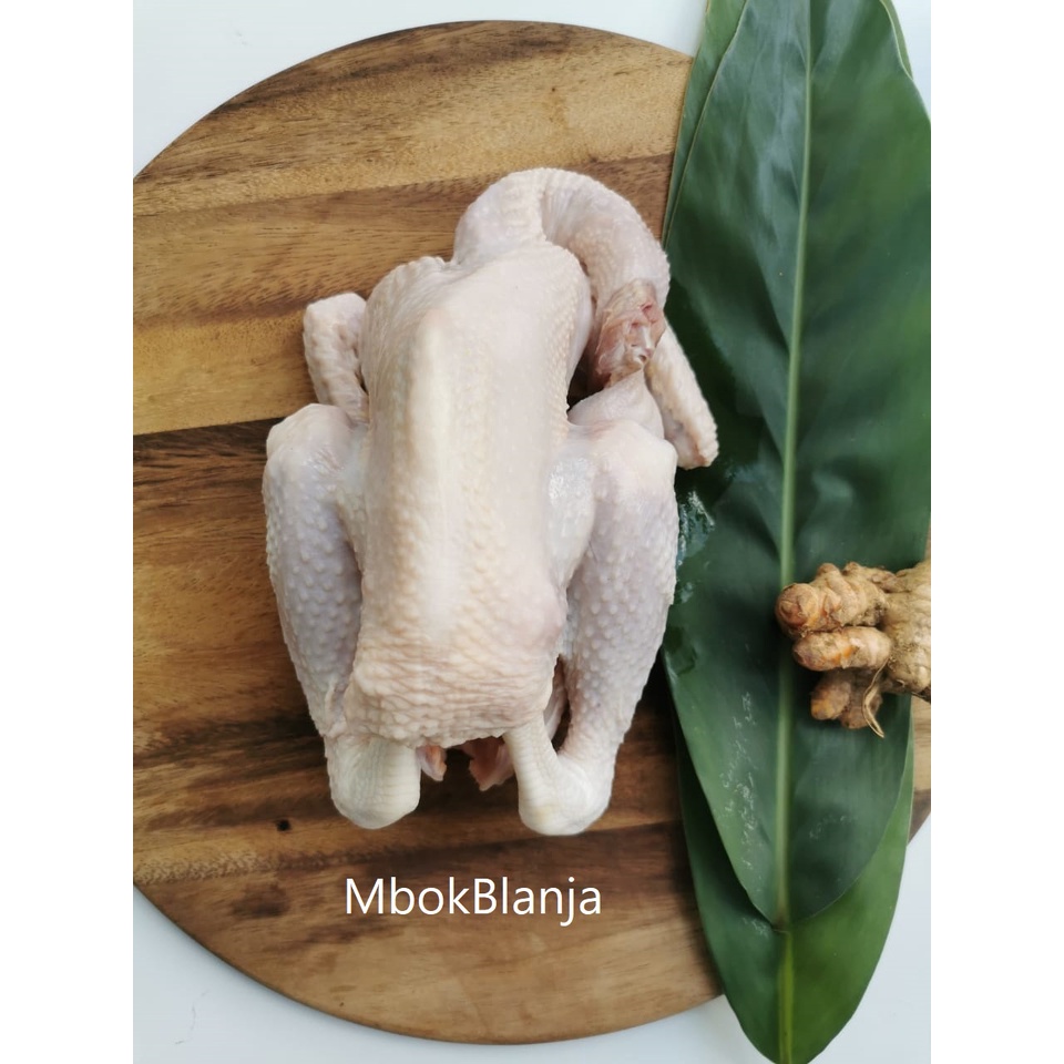 

Murah Ayam Pejantan 1 Ekor 900 gram Beku/Frozen Ayam Pejantan