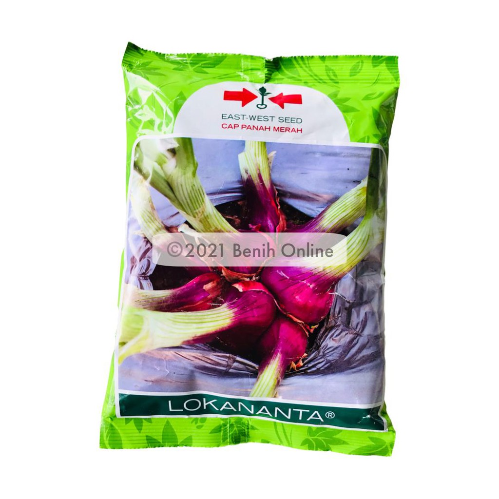 BENIH BAWANG MERAH - LOKANANTA - 500 Gram - 150000 butir - Cap Panah Merah - Bibit Tuk Tuk Super