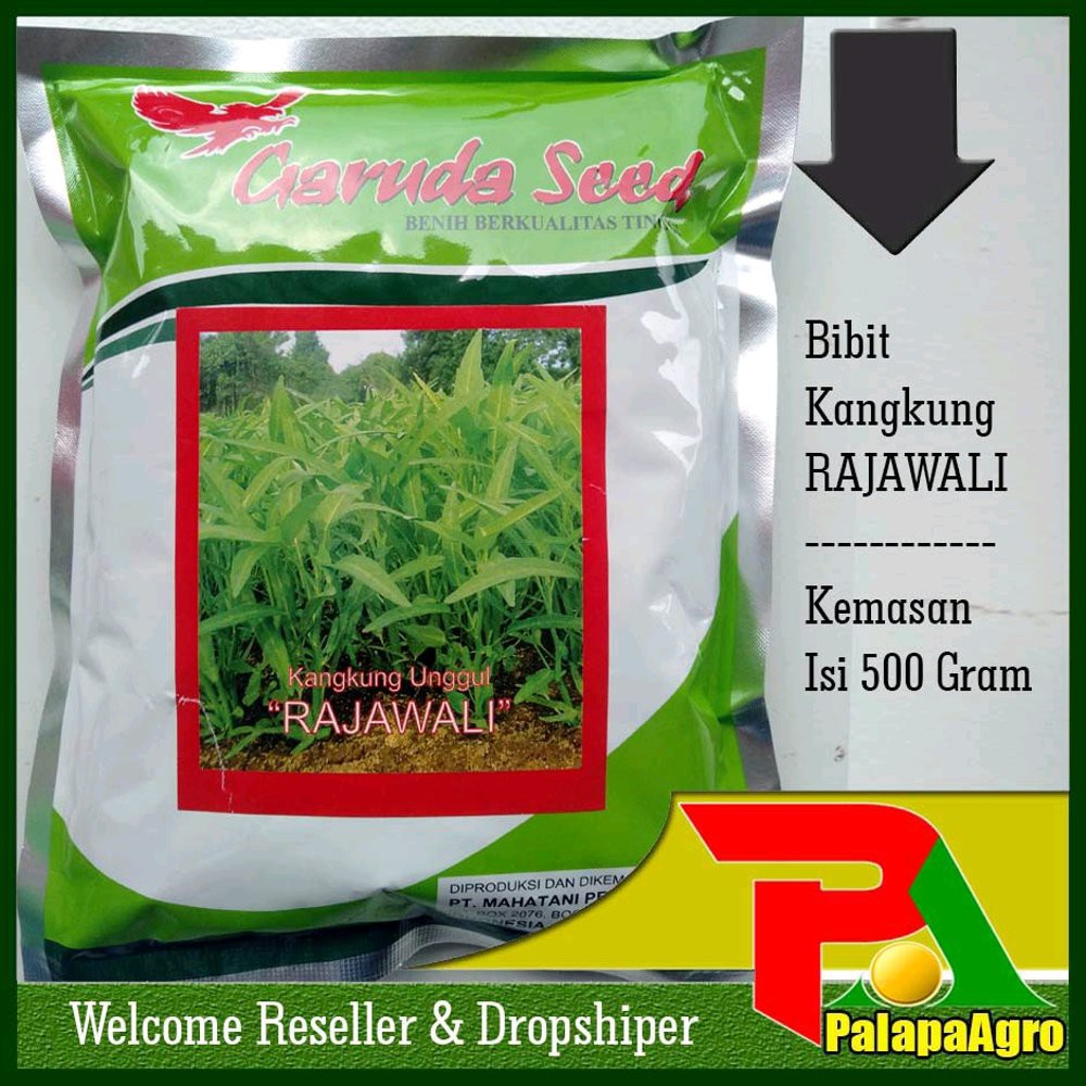 Benih Kangkung RAJAWALI 500gram-Bibit kangkung Murah