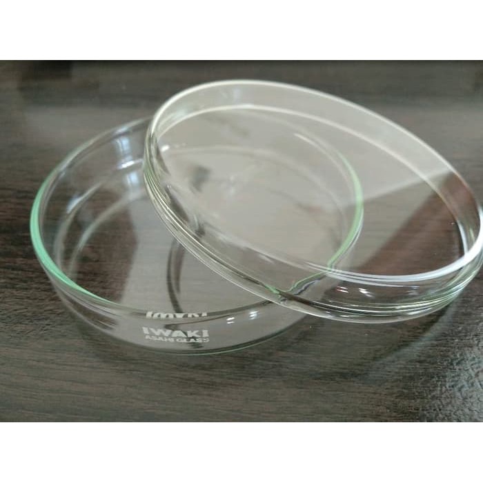 Petridish 90x15mm / Cawan Petri 90x15mm IWAKI VS46