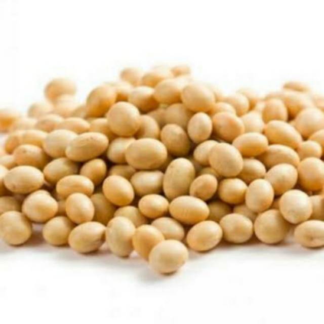 

Kacang kedelai 500 gram