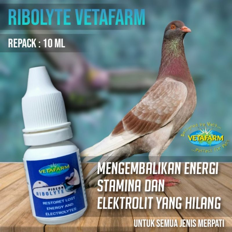 TERLARIS GROSIR RIBOLYTE  VETAFARM REPACT 10ML ORIGINAL UNTUK MERPATI LOMBA