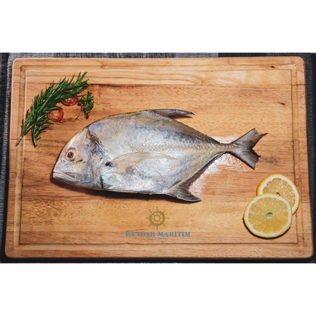 

IKAN KUE BONGKOK 500 gr
