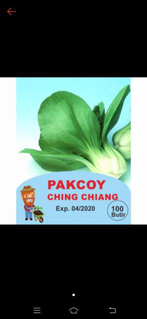 Benih Biji Bibit Sayuran/sayur Pakchoy Ching Chiang