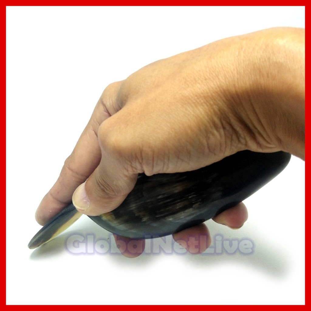 Alat Kerokan dari Tanduk kerbau-Sapi