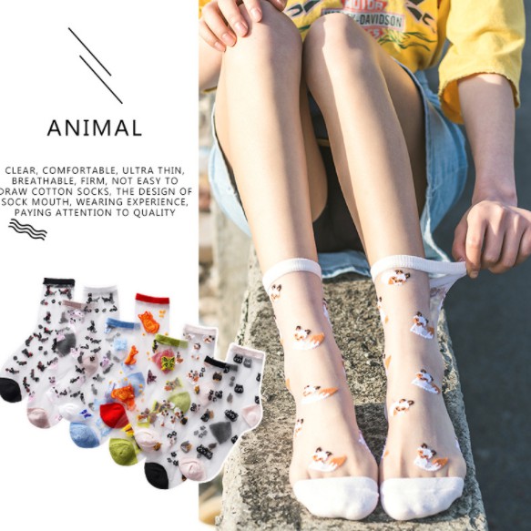 KK-36 kaos kaki animal cat kucing fox summer musim panas cotton socks transparan korea japan jepang