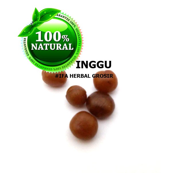 Jamu Herbal Tradisional Getah Inggu U/ Kepala Pusing,Migraine,Vertigo