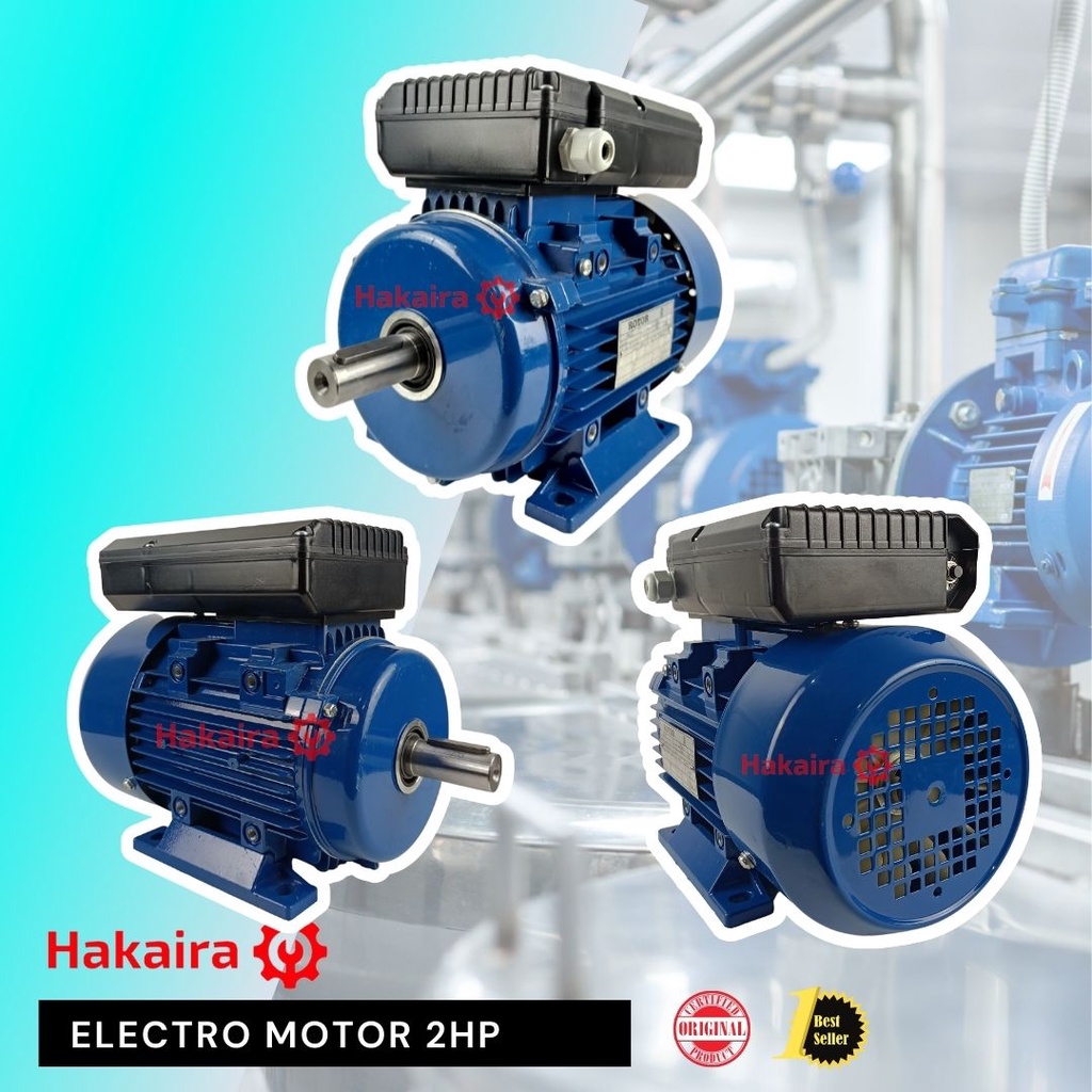 ELEKTROMOTOR SINGLE PHASE