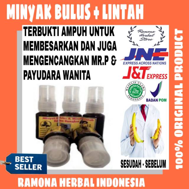 Minyak Bulus Lintah Daun Bungkus Obat Pembesar Payudara Penis Kelamin Vital Wanita Pria Permanen