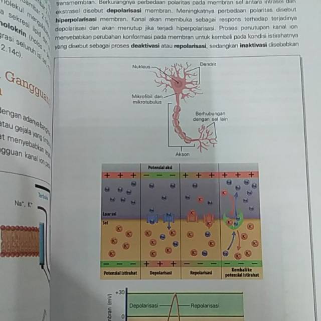 [ ORIGINAL ] BUKU BIOLOGI SEL PENDEKATAN APLIKASI UNTUK PROFESI KESEHATAN