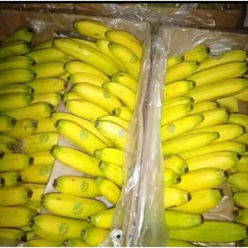 Pisang Sunpride 1 dus