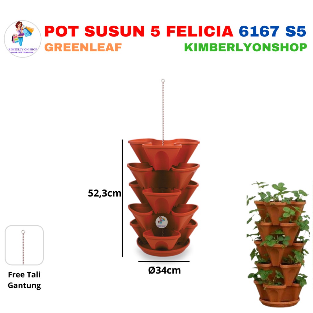 Pot Bunga Tanaman FELICIA Stack 6167 S5 Green leaf