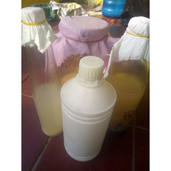 

starter nata de coco (volume khusus untuk tugas akhir)