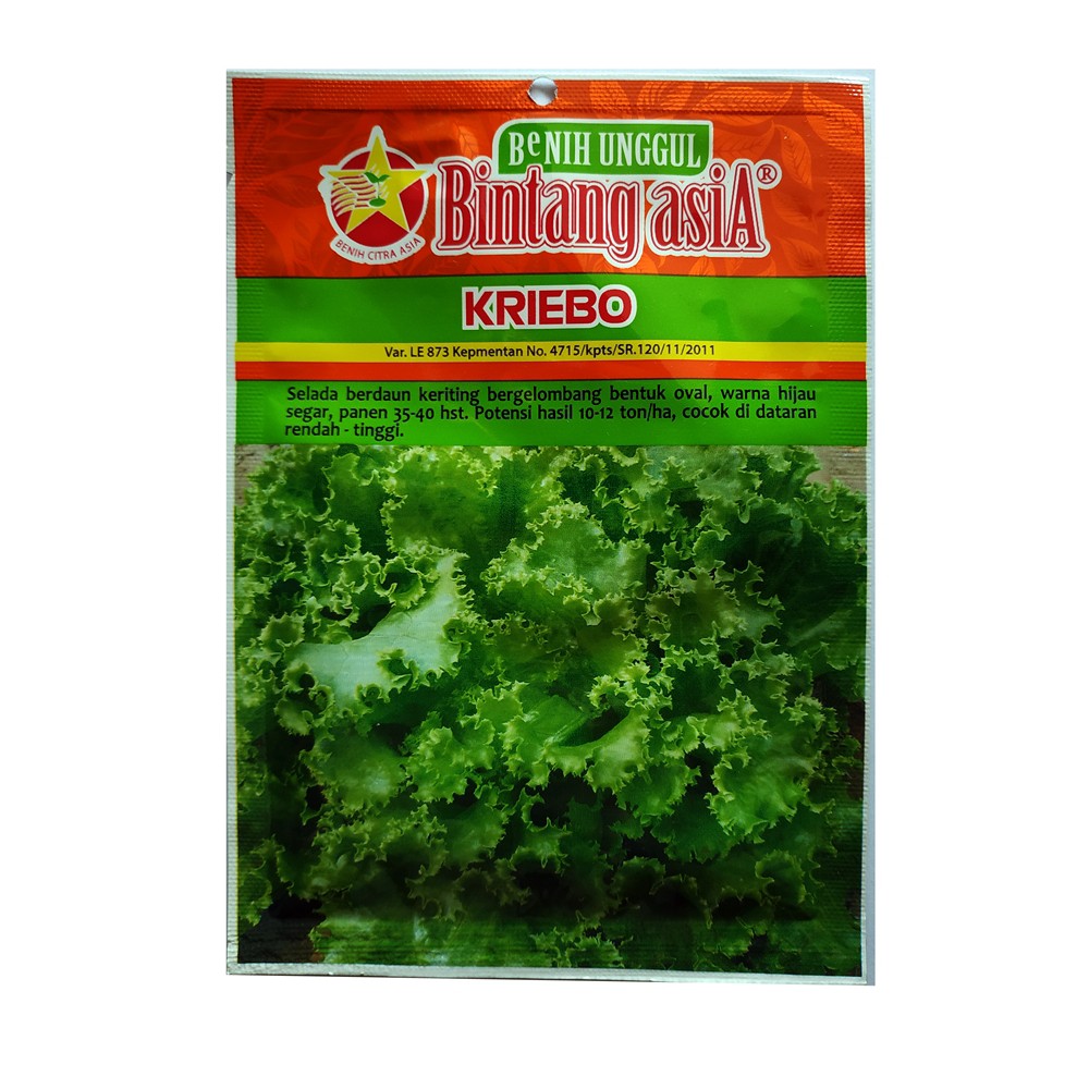 Benih Selada Lettuce Kriebo Bintang Asia Kemasan Urban Isi 10 gram Butir Bibit