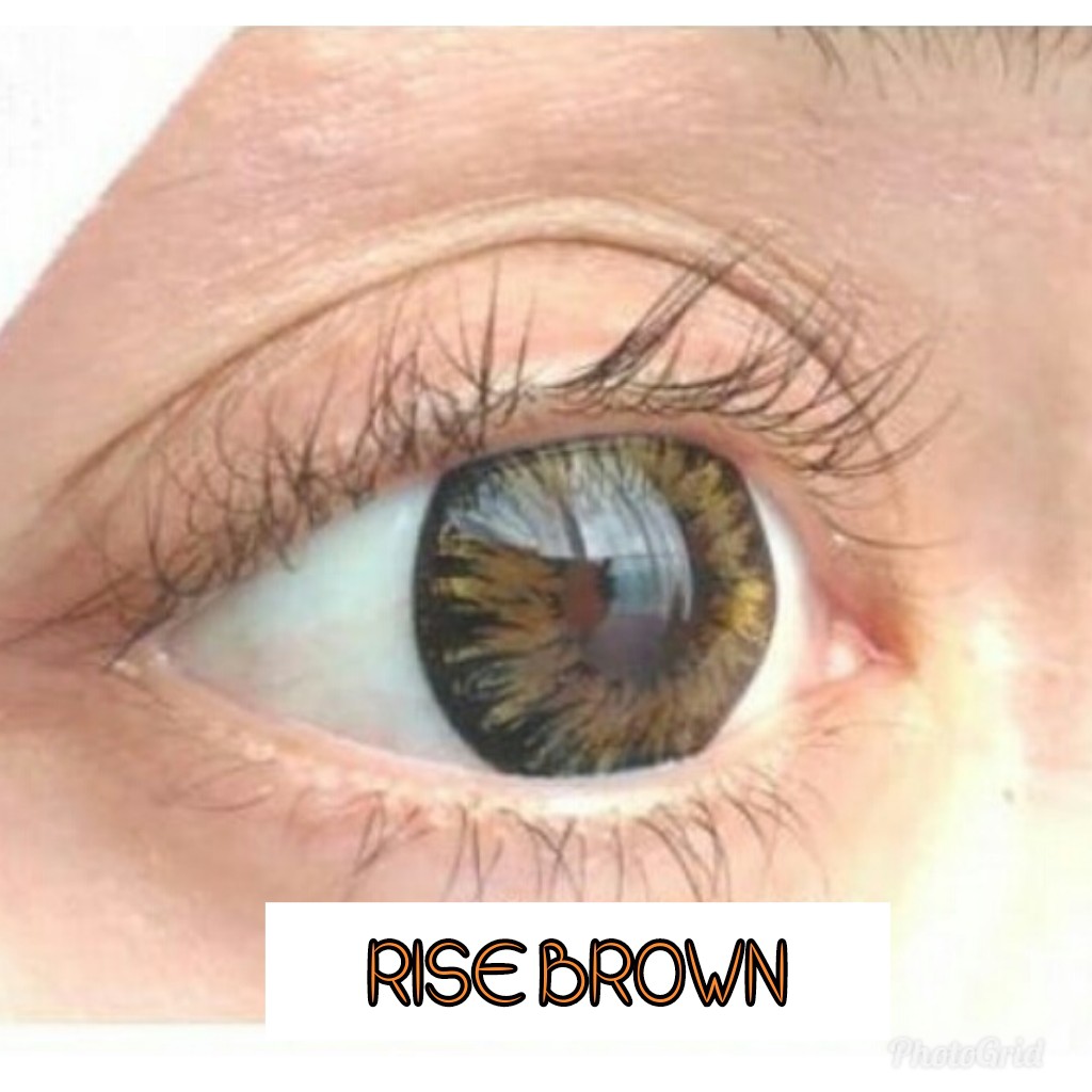 RISE BROWN (-0.75 S/D -6.00)