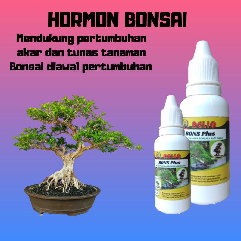 Pupuk Alami Penyubur Bonsai Kelapa, HORMON BONSAI, Pupuk Batang Bonsai
